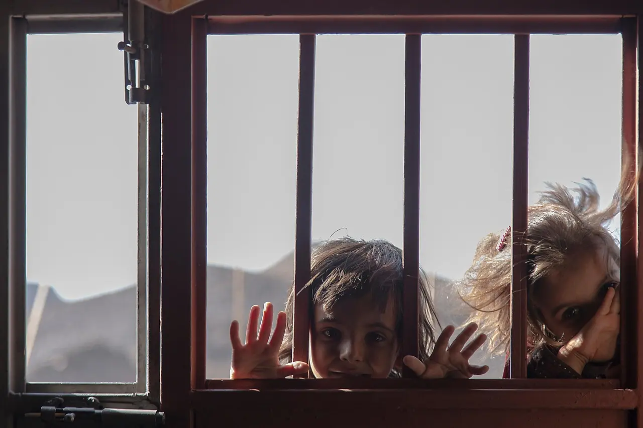 问鼎娱乐APP下载指南 - 问鼎娱乐下载